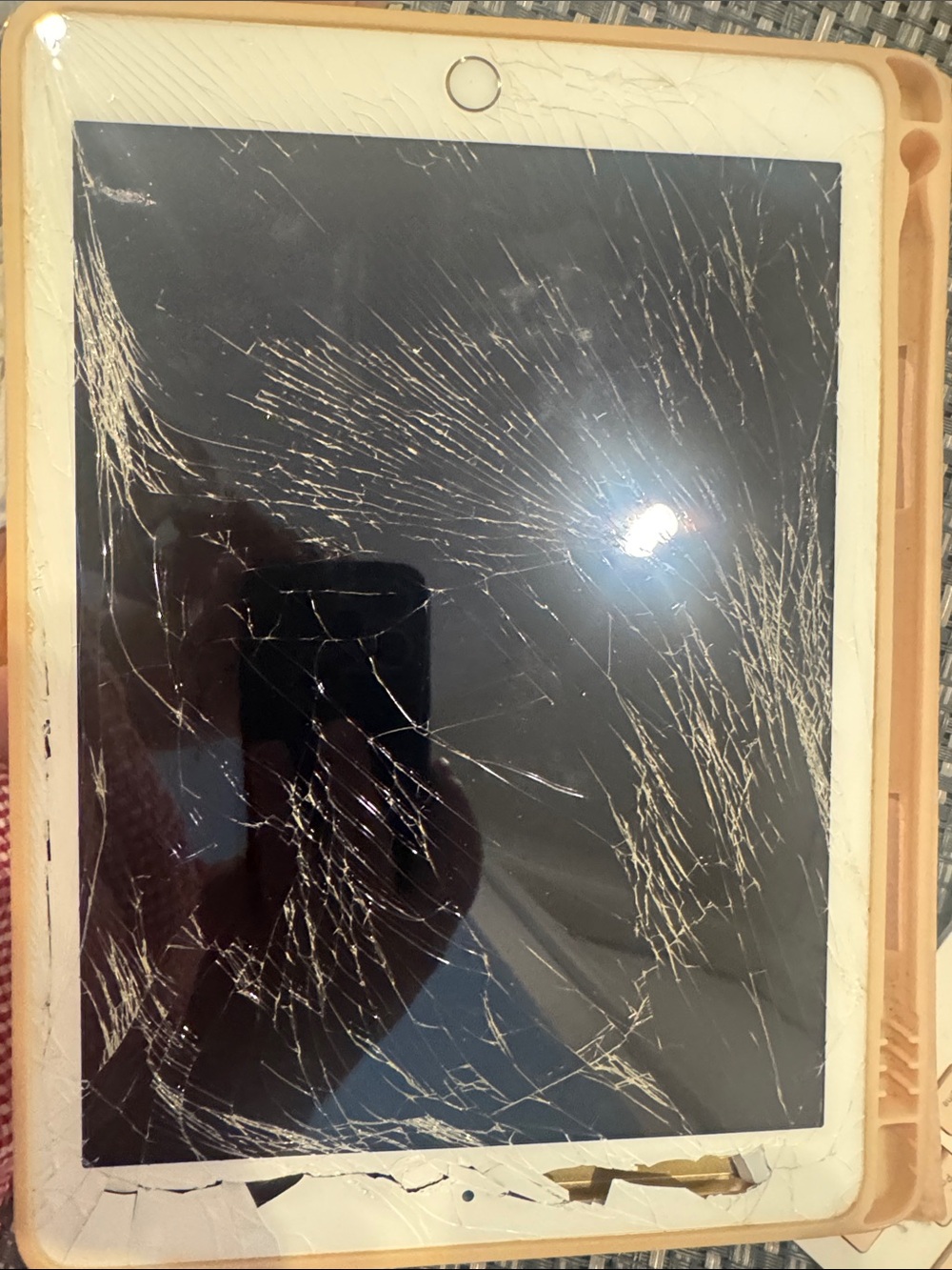 Apple White and Tan Tablet Display